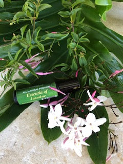 Natural Ingredients Perfume - Essentia of Jasmine